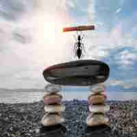 排‌名​前‌十‌的‍电‌视​机‍品​牌​